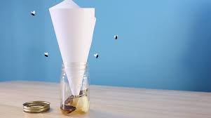 how to get rid of fruit flies in your house