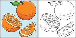 orange fruit outline vector art icons