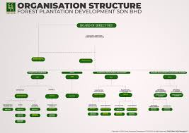 organization chart forest plantation