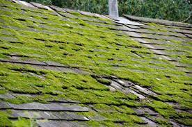 preventing moss on the roof