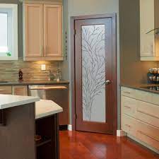 Frosted Glass Pantry Doors Photos