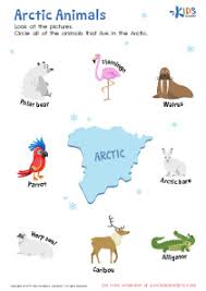 The animals of the north polar region can be seasonal visitors at the edge, permanent residents of the. Arctic Animals Worksheet Free Printable Pdf For Children