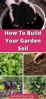 Build Your Garden Soil Expert Guide