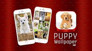 puppy wallpaper hd free cute dog