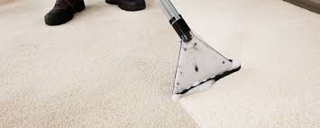 tips on keeping your carpet cleaned
