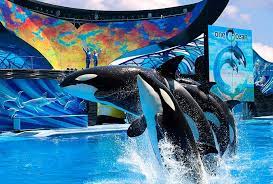 seaworld orlando reopens today with a