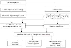 Image Result For Flow Chart Environmental Effects Of War