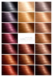 Hair Color Palette With A Range Of Swatches Stock Image