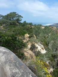 torrey pines state natural reserve