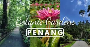 Penang Botanical Gardens Visit The