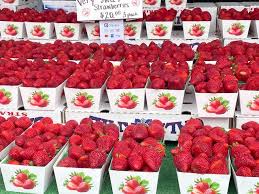 2023 strawberry festival in garden