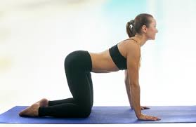 Start by coming on to the ground or yoga mat and find the table top position on your hands and knees. Cat Cow Pose From 12 Simple Yoga Poses Anyone Can Do The Active Times