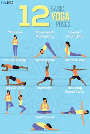 A comprehensive yoga pose directory created for yoga teachers and students. 12 Basic Yoga Poses Basic Yoga Poses Basic Yoga Daily Yoga Workout