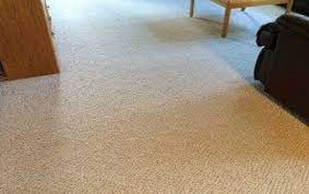 maintain your carpet warranty