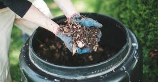 Composting A Complete Beginner S Guide