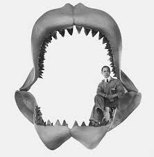Über die größe des urzeithais carcharocles megalodon und sein aussehen im detail . Der Megalodon Grosster Hai Der Weltgeschichte Netzwerk Fur Kryptozoologie