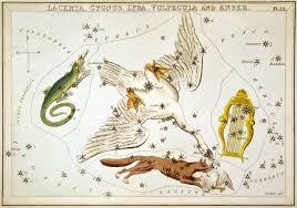 Cygnus Constellation Wikipedia