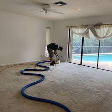 best carpet cleaners in delray beach