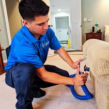 ayoub carpet service reviews