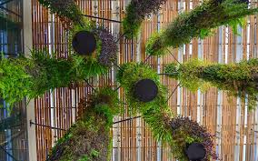 Hanging Gardens At The Perez Art Museum