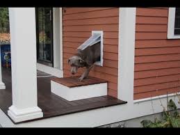 installing a pet door you