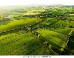Image result for photo of vizes field