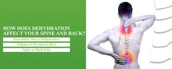 Organs are collections of tissues, nerves and blood vessels, each with their own role to perform in the functioning of our biology. How Dehydration Affects Your Spine And Back Spine Ina