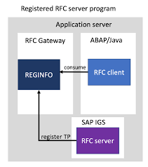 rfc gateway security part 2 reginfo