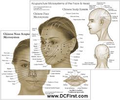 Acupuncture Microsystems Of The Face And Head Chart