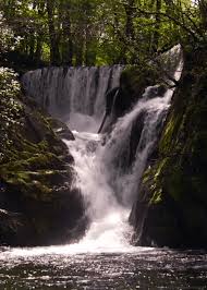 waterfall spring watch landscape nature