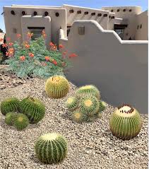 Small Desert Plants 2023 For