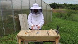 Guaranteed free shipping within 24 hours. Introduction To Top Bar Bee Hives Youtube