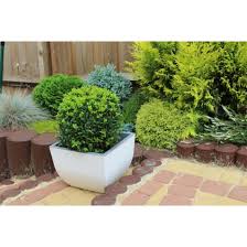 Muna Plant Pots Square White Concrete