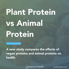 3 Charts Vegan Protein Vs Animal Protein Visualized Science