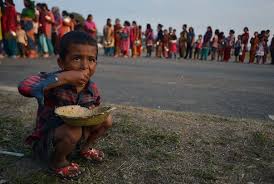 Resultado de imagen de FAO y el hambre mundial