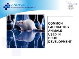 Pre Clinical Lab Animals Ppt
