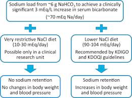 ckd induced metabolic acidosis