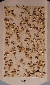clothes carpet moth traps