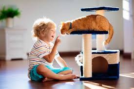cat trees with interactive features