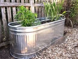 Watering Trough Uses