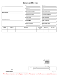 Commercial Invoice English