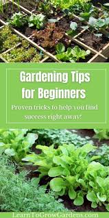 21 Best Gardening Tips For Beginners