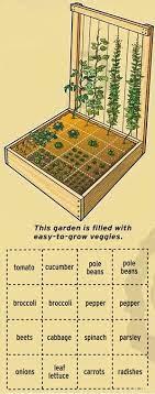 pallet garden plan