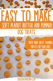 soft peanut er and pumpkin dog