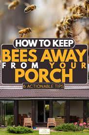 How To Keep Bees Away From Your Porch [6 Actionable Tips] | Keep bees away,  Repellent diy, Bee repellent