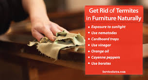 how to get rid of termites in furniture