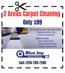 blue jay carpet cleaning professional