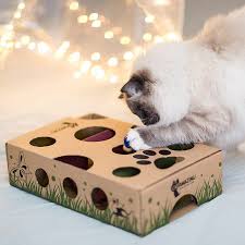Interactive puzzle feeder & treat box to keep your cat busy and active. 6 Diy Cat Puzzle Feeders Cattipper