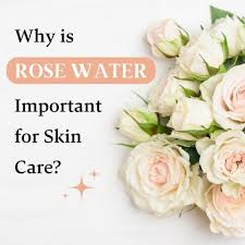 why is rose water important for skin care