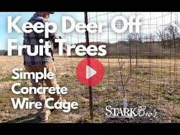 keep deer off fruit trees fruit tree